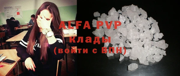прущие крисы Верея