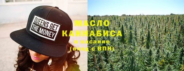 apvp Бородино