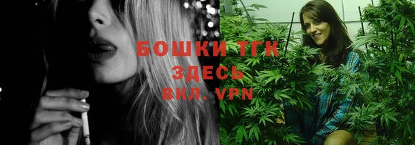 PSILOCYBIN Бронницы